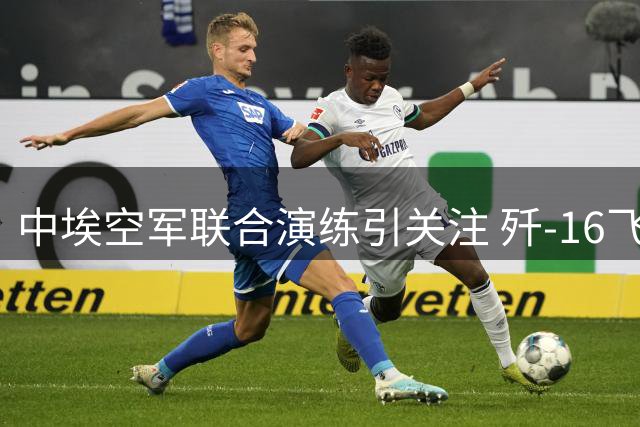 中埃空军联合演练引关注 歼-16飞抵埃及或为歼-10CE铺路