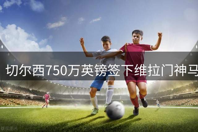 切尔西750万英镑签下维拉门神马丁内斯