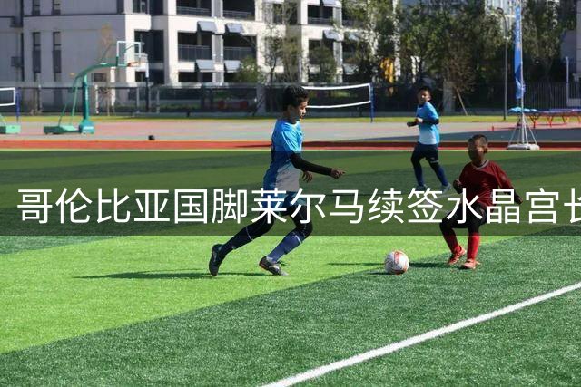 哥伦比亚国脚莱尔马续签水晶宫长约